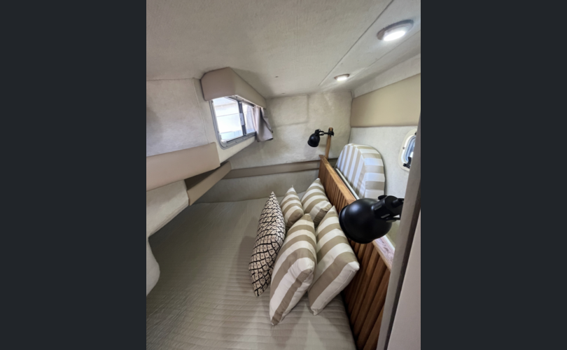 Bayliner Avanti Express 3255-kuva-11